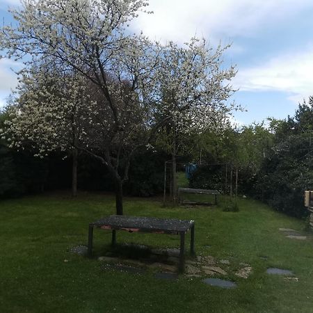 Apartamentos Rurales Alvado Tamajon Exteriör bild